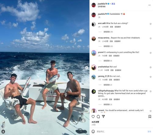 被批虐待动物菲利克斯晒海钓鲨鱼视频，网友：请尊重海洋！