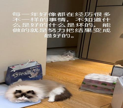 要离开TES了Crisp更新ins：好运常在，改变就是好事