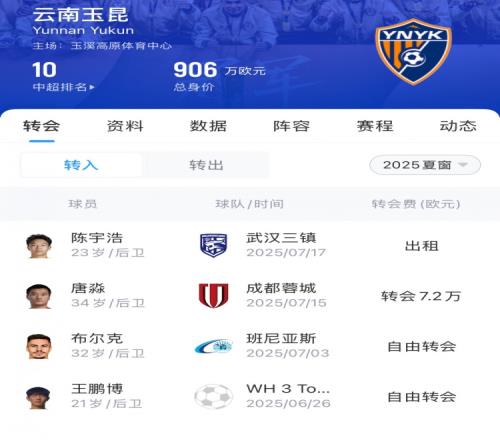 玉昆夏窗汇总：免签罗马尼亚国脚布尔克引进唐淼，两外援撤销报名