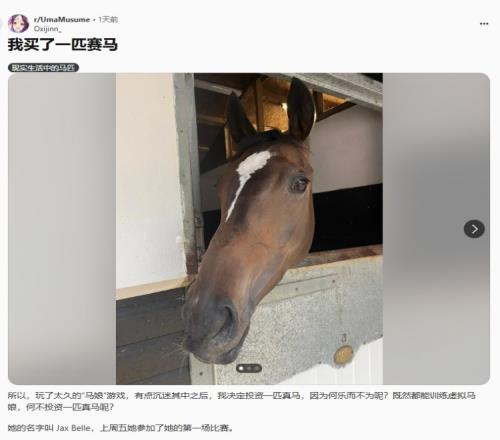 二次元过渡到三次元！赛马娘粉丝发帖：自己决定购买一匹真的赛马
