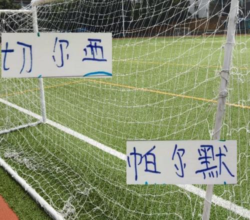 没见过海港奥斯卡在切尔西踢球但我见过23岁的帕尔默在蓝军进球
