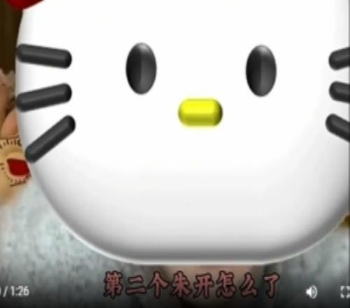 爱笑：我们招募新教练时我跟他说，我会让你成为第三个红米