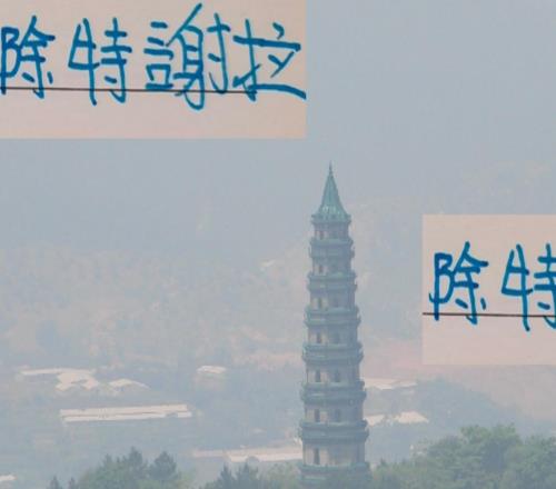 除特谢拉外！申花这些年外援续约第二年都出现断崖状态下滑