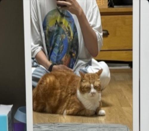 肉眼可见的壮了许多！Deft休假更新INS发布了与小猫的合照