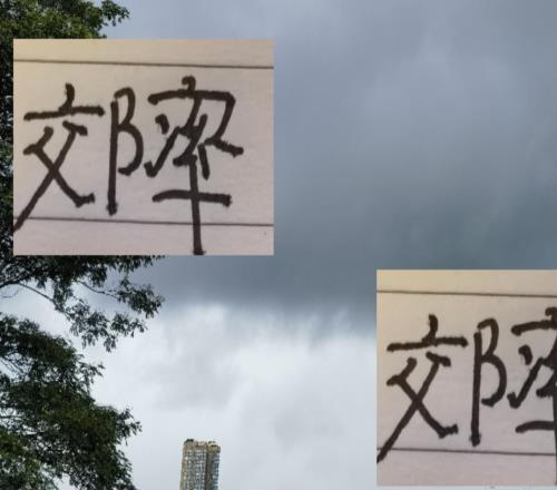 中超进球效率奇高黑人球员北京国安发飙算一个海港加布也是人才