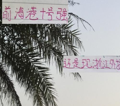 中超这两年的最强外援是去年海港巴尔加斯厉害还是今年米特给力