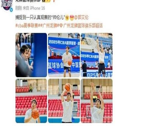 广州龙狮更新夏联动态：捕捉到一只认真观赛的“帅伦儿”