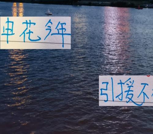 申花今年引援米神用不了大小王不能用阿苏埃没想到打不了全场