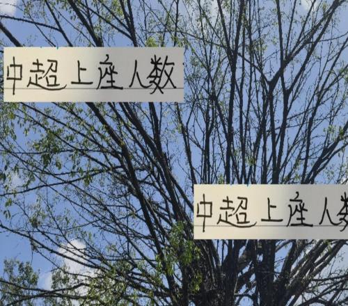 没想到！中超上座率之王是两解散球队申花主场也能破六万