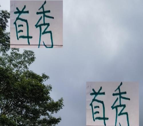 好钢用在刀刃上！北京国安经理儿子首秀4分钟进球武磊夸海港双星