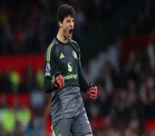 弗格森称赞曼联新门：表现出色，是个不错的新援