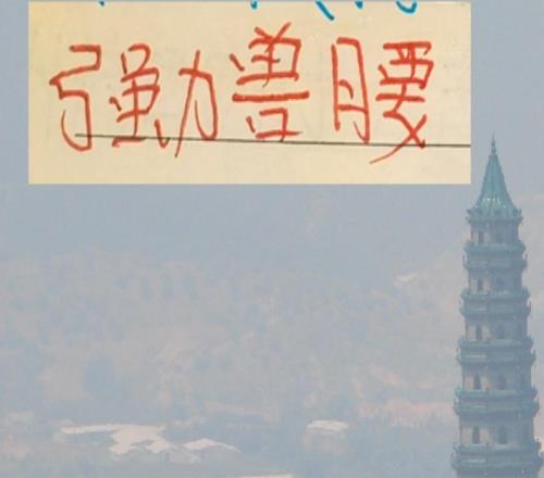 2026赛季海港成都蓉城北京国安浙江都有强力兽腰