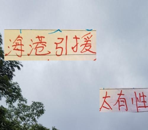 相比隔壁老是凑不齐五外援今年海港一口气换的4人太有性价比