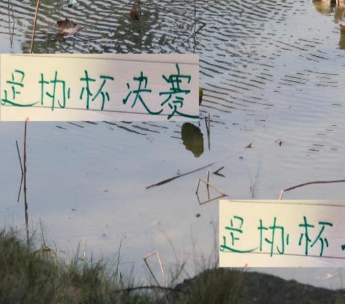 北京国安有柏杨成都有罗慕洛大概率就是这两个球队进足协杯决赛