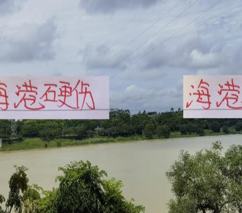 除海港外！前5主场都有超4万场次海港球迷不够隔壁多也是硬伤