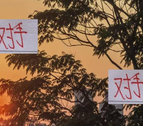 马年海港争冠对手除了申花外可能会增加浙江或者山东