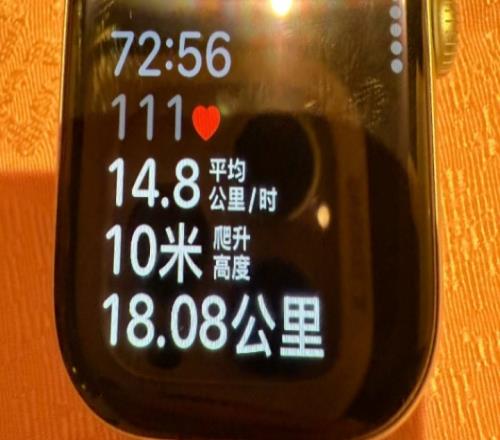 Elk深夜晒出上海骑行照片：72分钟骑行18公里Shadow现身评论区