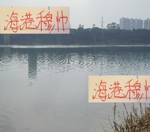 有点不理解！海港穆帅年度教练没资格月度最佳反而不停给