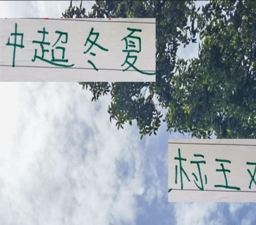 中超夏冬季标王对决！你看好北京国安达万还是浙江罗马尼亚国脚