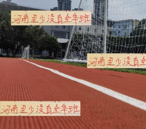 河南也算好的！还在首发安排两个外援阻击上海海港