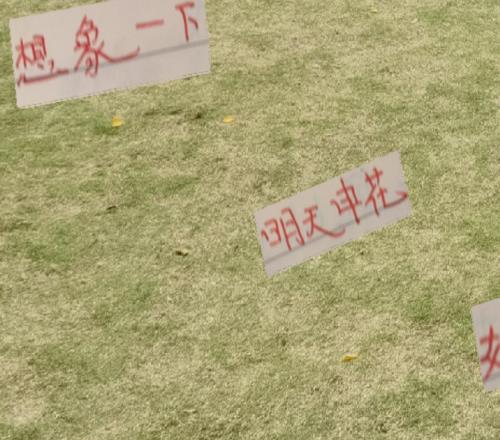 海港穆帅气势够足！“想象一下，如果明天申花队输球了”