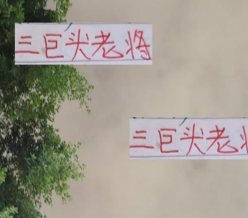 三巨头34岁+老将渐入佳境海港北京国安申花谁的姜更加辣呢