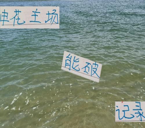 上海德比申花增开票啦！氛围又被拉满就看能否破北京国安记录
