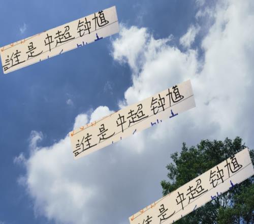 谁才是中超里面的钟馗前申花名宿马莱莱或者河南队阿奇姆彭